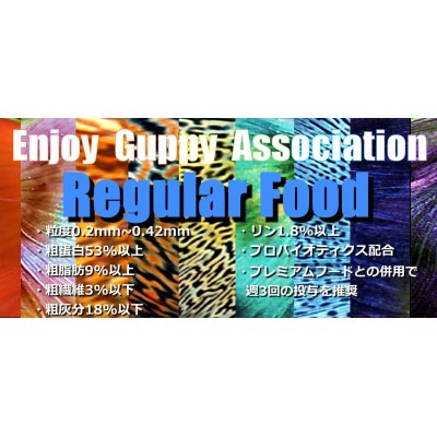 画像1: 【送料無料】E.G.Aレギュラーフード100g