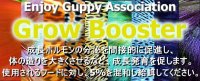 【送料無料】E.G.Aグロウブースター25g