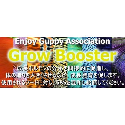 画像1: 【送料無料】E.G.Aグロウブースター25g