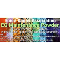 【送料無料】E.G.A：EGメンテナンスパウダー300g