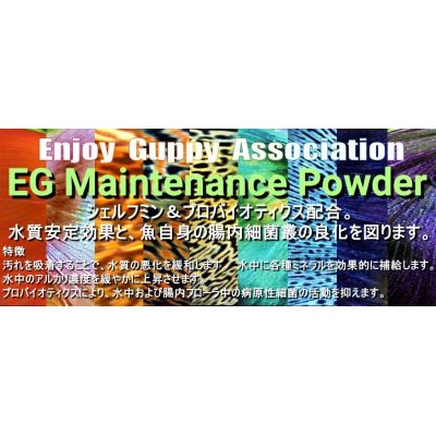 画像1: 【送料無料】E.G.A：EGメンテナンスパウダー300g