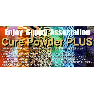 画像1: 【送料無料】E.G.Aキュアパウダープラス15g