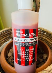 【送料無料】ロッソバイタル500ml（塩素除中和剤入り）