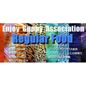 画像: 【送料無料】E.G.Aレギュラーフード100g