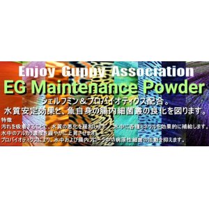 画像: 【送料無料】E.G.A：EGメンテナンスパウダー300g