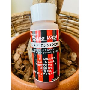 画像: 【送料無料】ロッソバイタル300ml（塩素除中和剤入り）